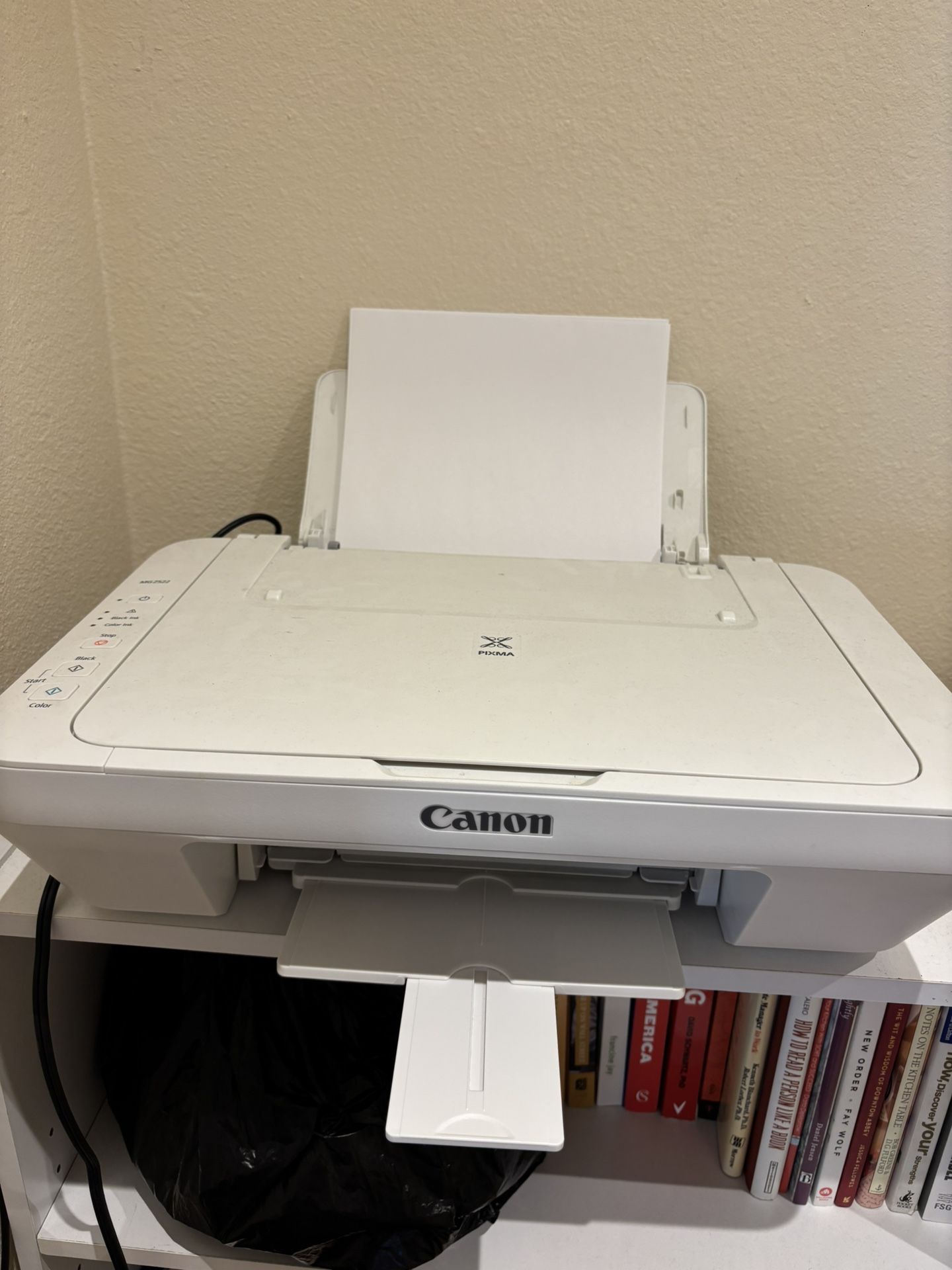 Canon MG2522 Printer + Ink Cartridge