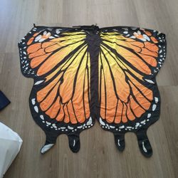 Butterfly 🦋 wings
