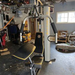 Golds Gym Machine 