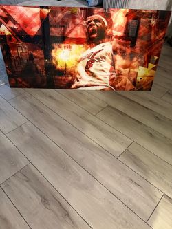 LeBron James laminated plaque