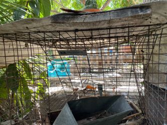 Outdoor bunny cage