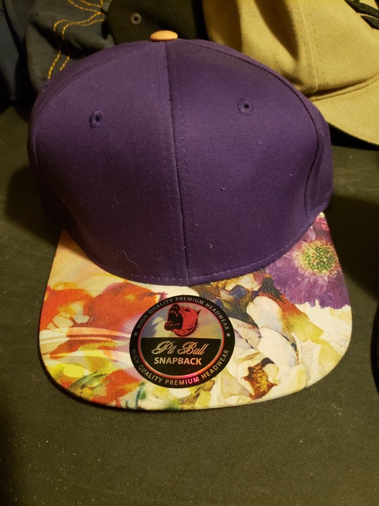Pitbull Brand Snapback Hat Purple
