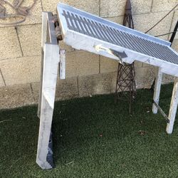 Dogs Swimming Pool Ramp