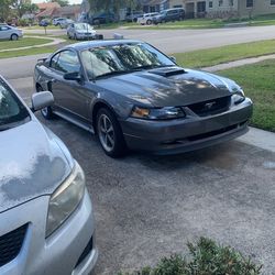 2003 Mach 1 Auto July 2024