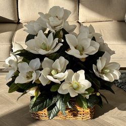 22” Silk White Magnolia Plant In Wicker Basket