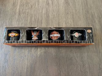 Harley Davidson mug shots