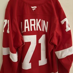 Detroit Red Wings Dylan Larkin #71 Fanatics Breakaway Jersey