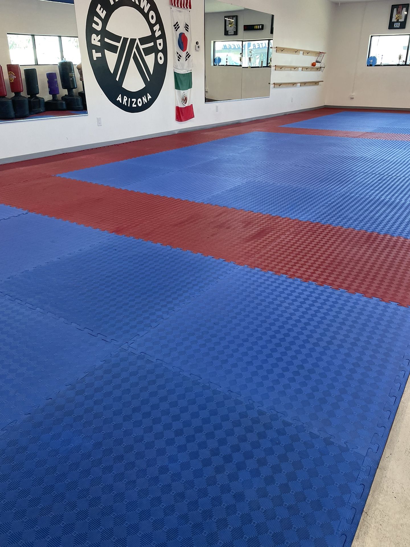Martial arts And agility Equipment