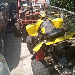 Polaris predator 500