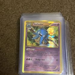 Pokémon Garbodor 119/116 