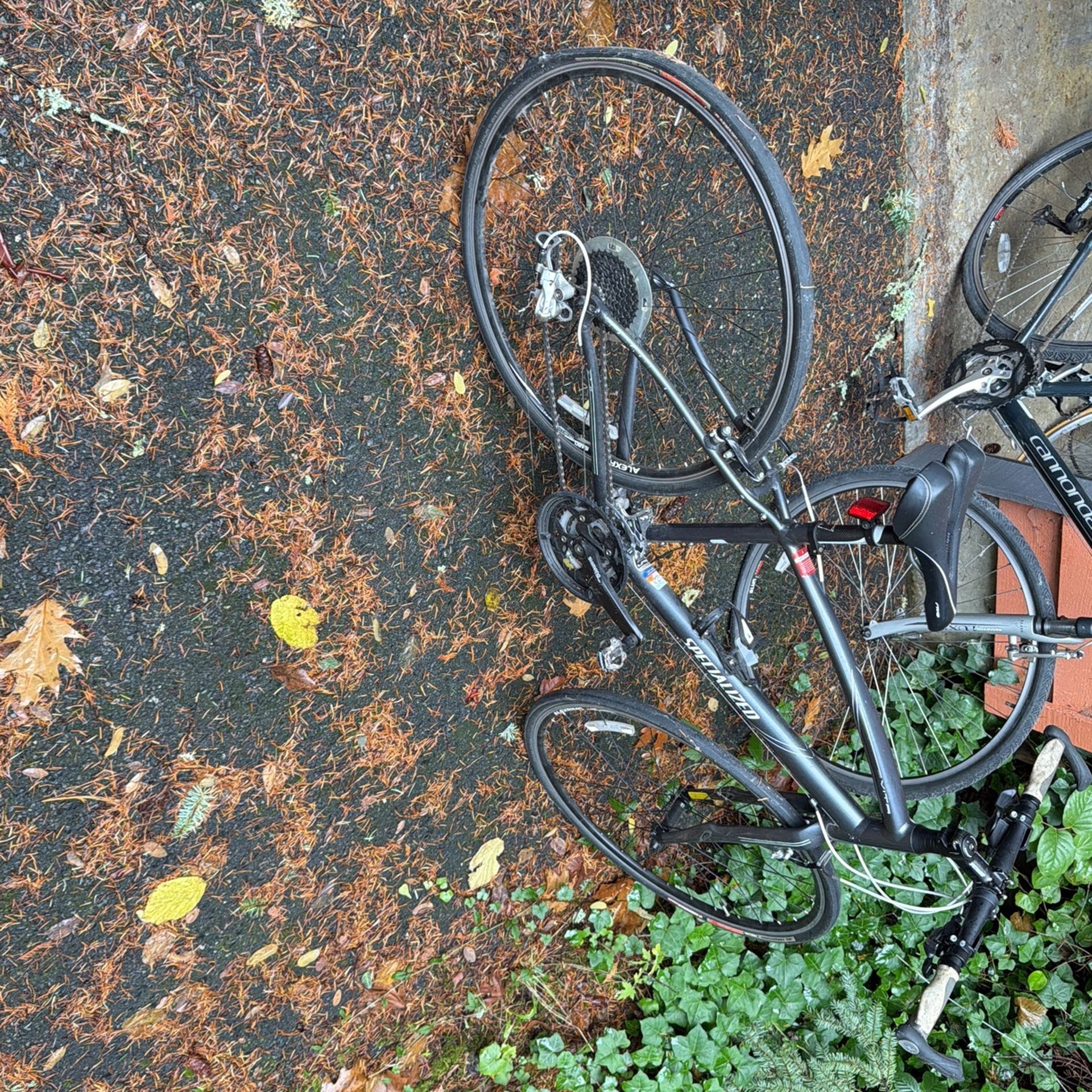 Specialized Vita Bicycle 