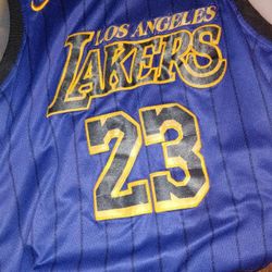 Small LeBron James Los Angeles Lakers Jersey 