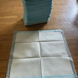 Puppy Pads