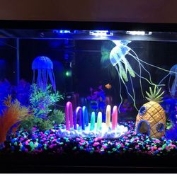 Fish Tank - Aquarium