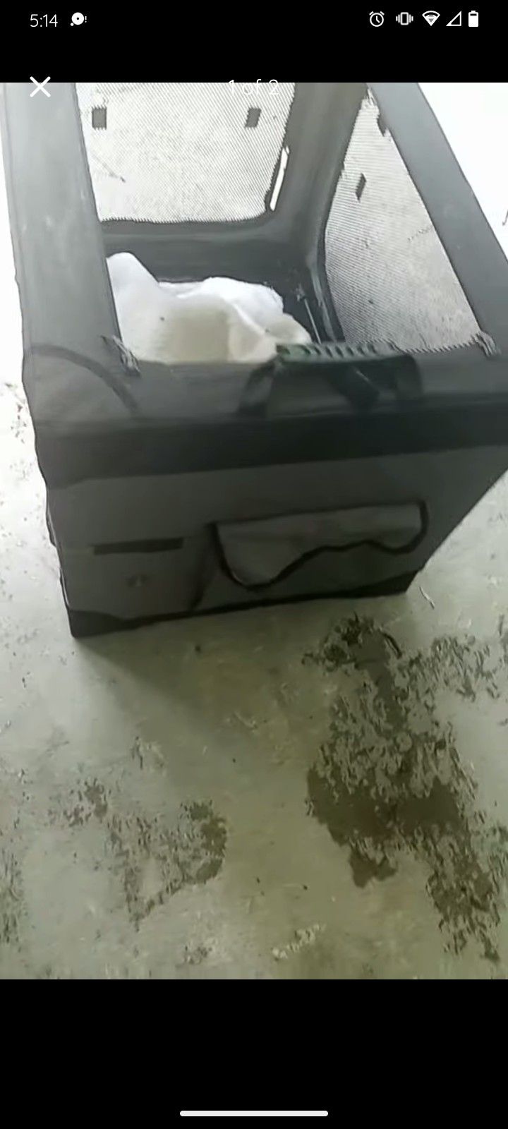 Animal PlayPen