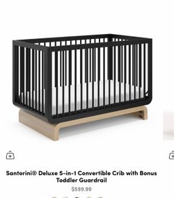 Convertible Crib and Mattress