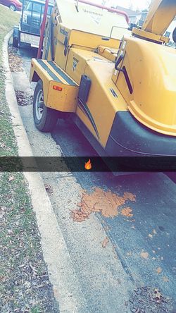 Se cortan árboles bien precio