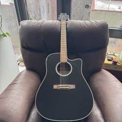Takamine EG531SSC (Black) With Case