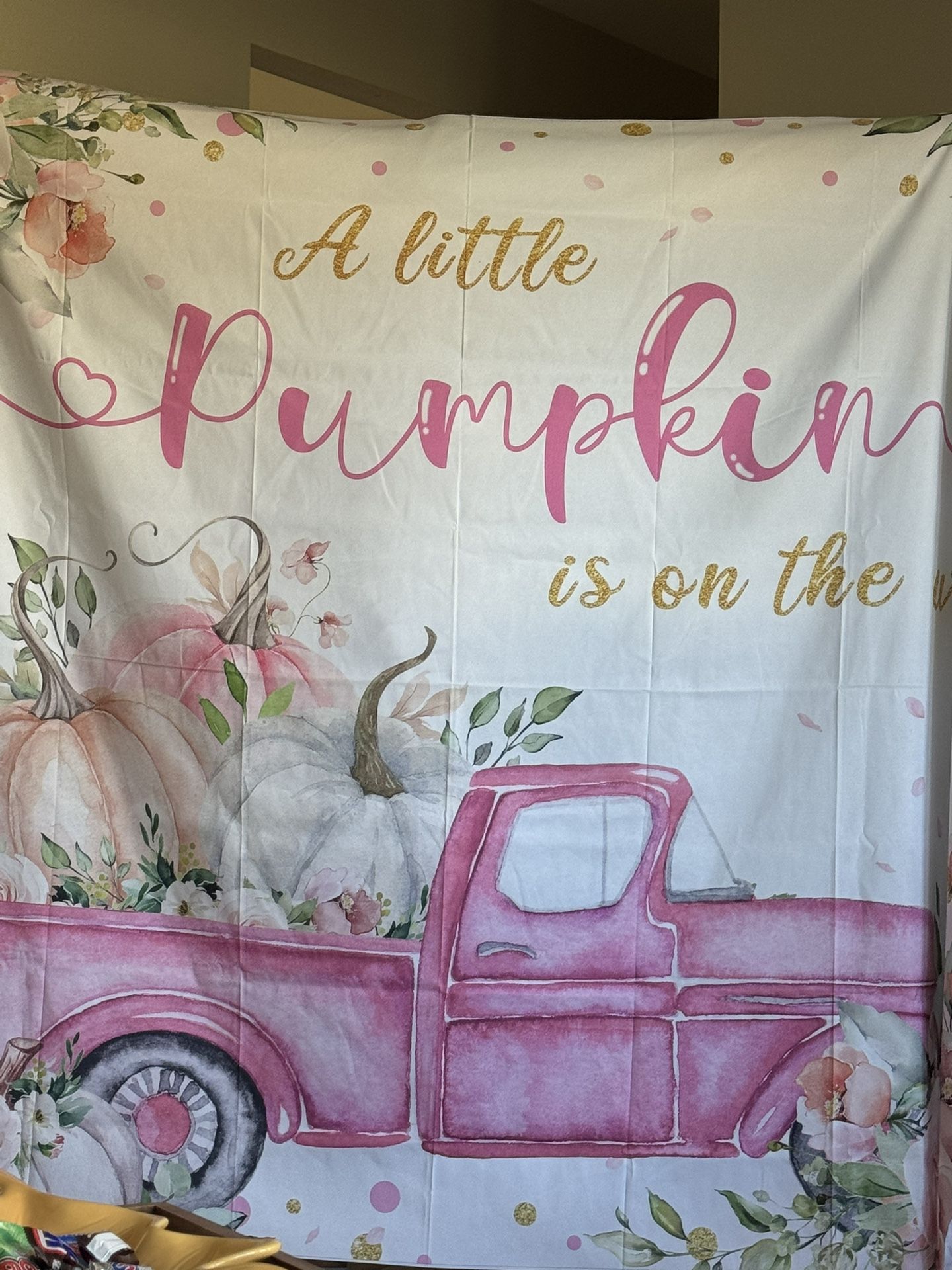 girl baby shower tapestry backdrop