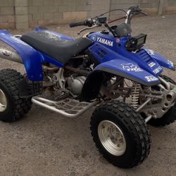 Yamaha 350 Warrior 
