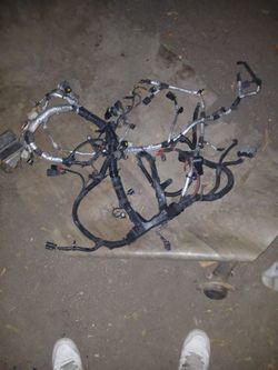 Engine harness