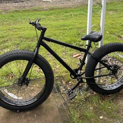 Men's Mongoose Fat Tire Bicycle 
