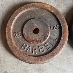 Barbell 25 LBS Weights