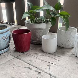 Planter Pots