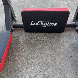 Lucky one Wall Mounted Pull Up Bar 