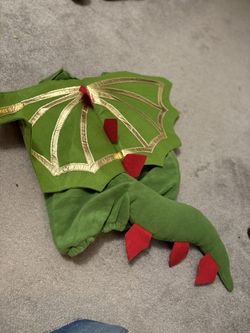 Dragon Costume 