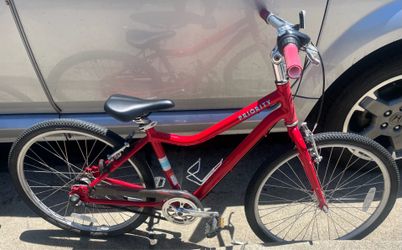 Priority belt drive 24 inch bike with gears
