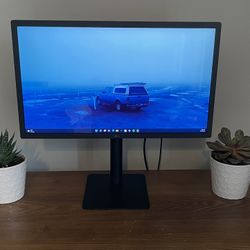 4k LG Ultrafine Monitor