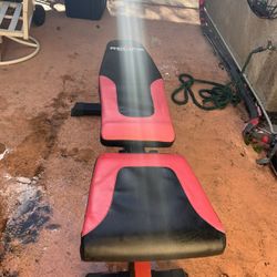 Weight Bench / Dumbbells 