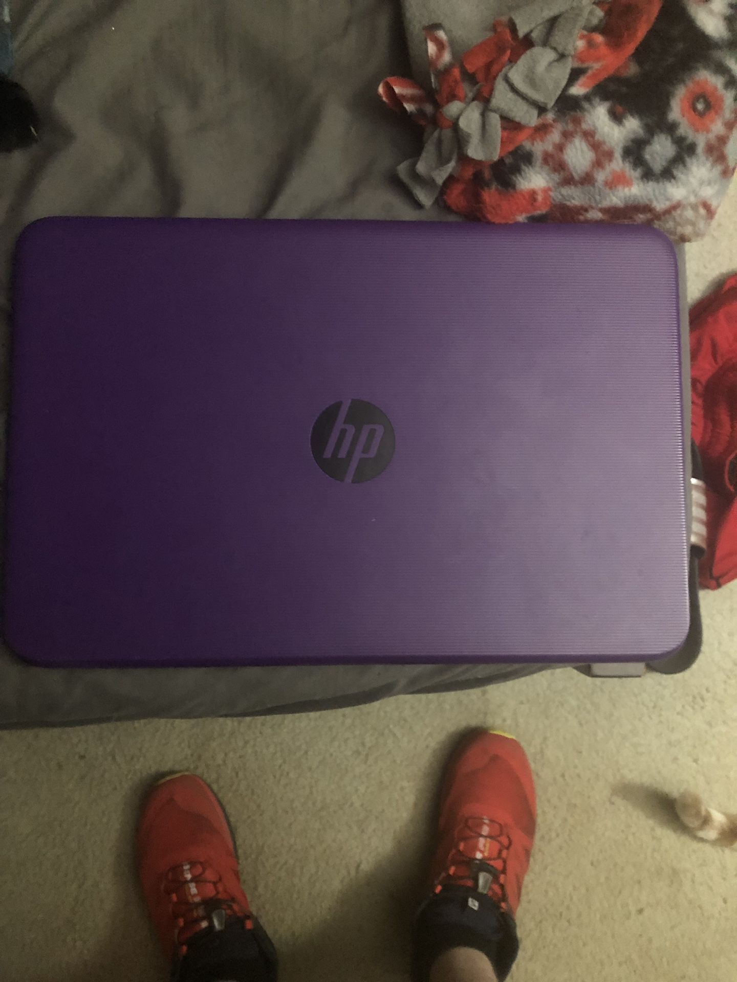HP Steam laptop