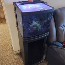 8 Gal Fishtank + All Accessories 