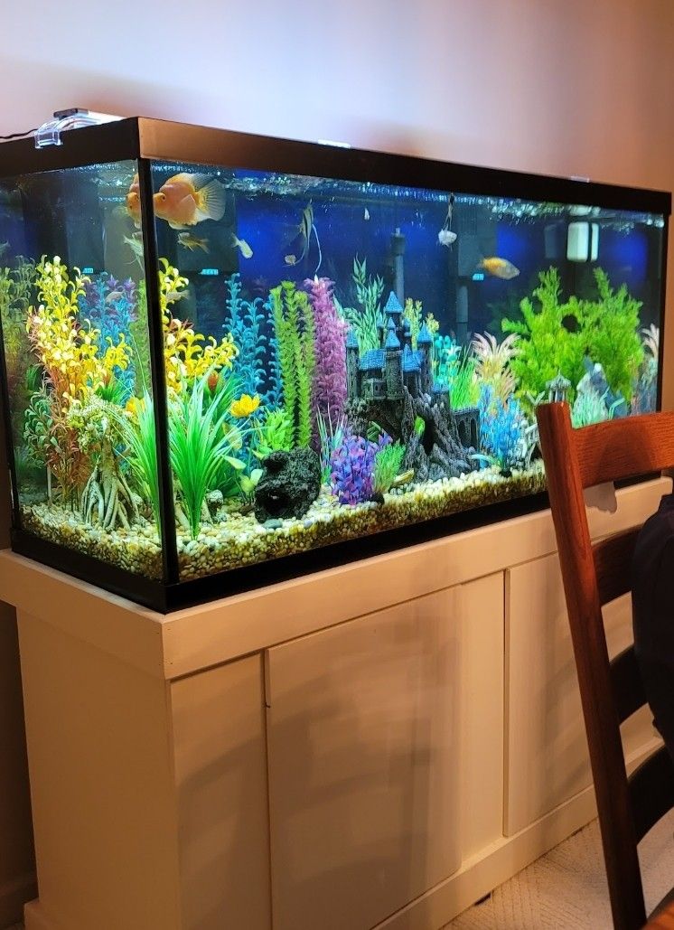 Fish Tank (90 gallons)