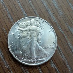 1937 Mint State Walking Liberty Half Dollar