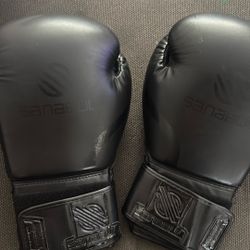 Sanabul 14oz Boxing Gloves