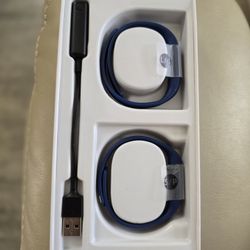 FitBit Flex 2