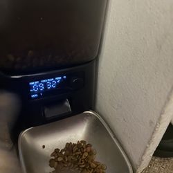 Automatic Cat Feeder