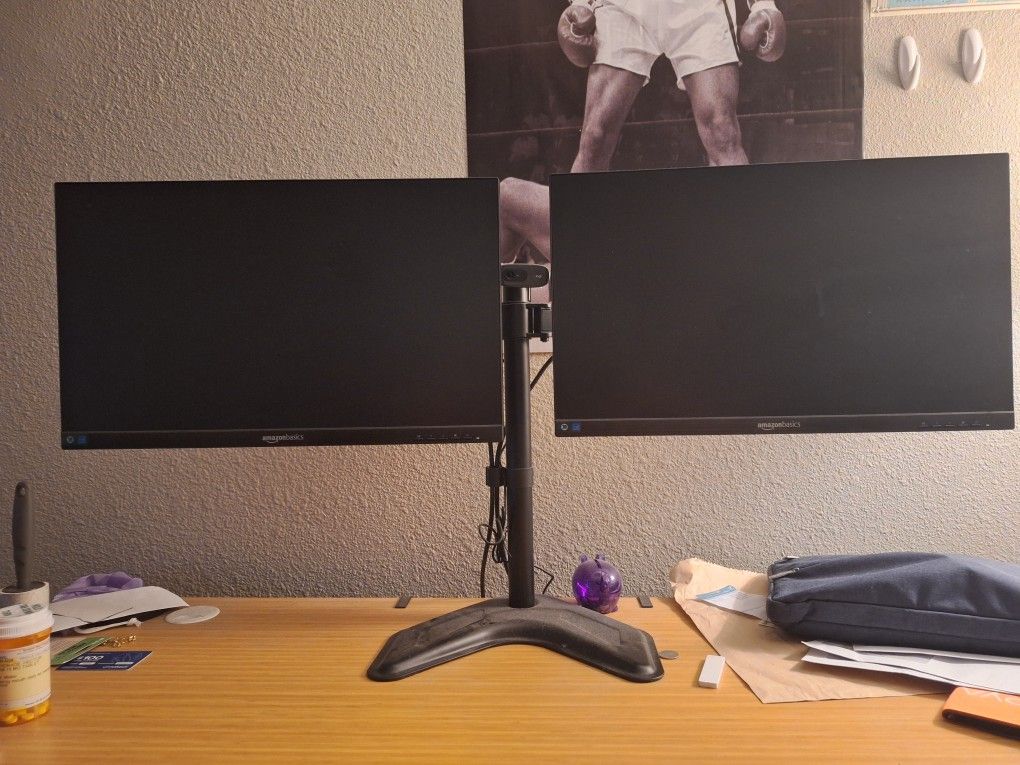 Monitor Setup