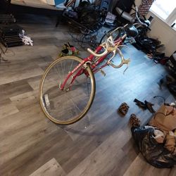Schwinn Selle Royal 