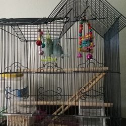 Bird Cage 