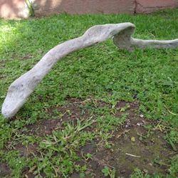 Natural Driftwood For Aquariums Terrariums Decor 