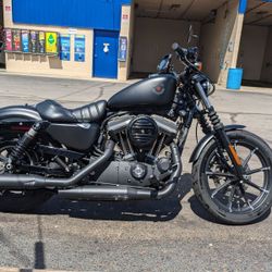 2020 Harley Davidson 883 iron