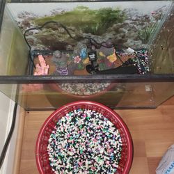 10 Gallon Aquarium Everything You Need Except The Fish