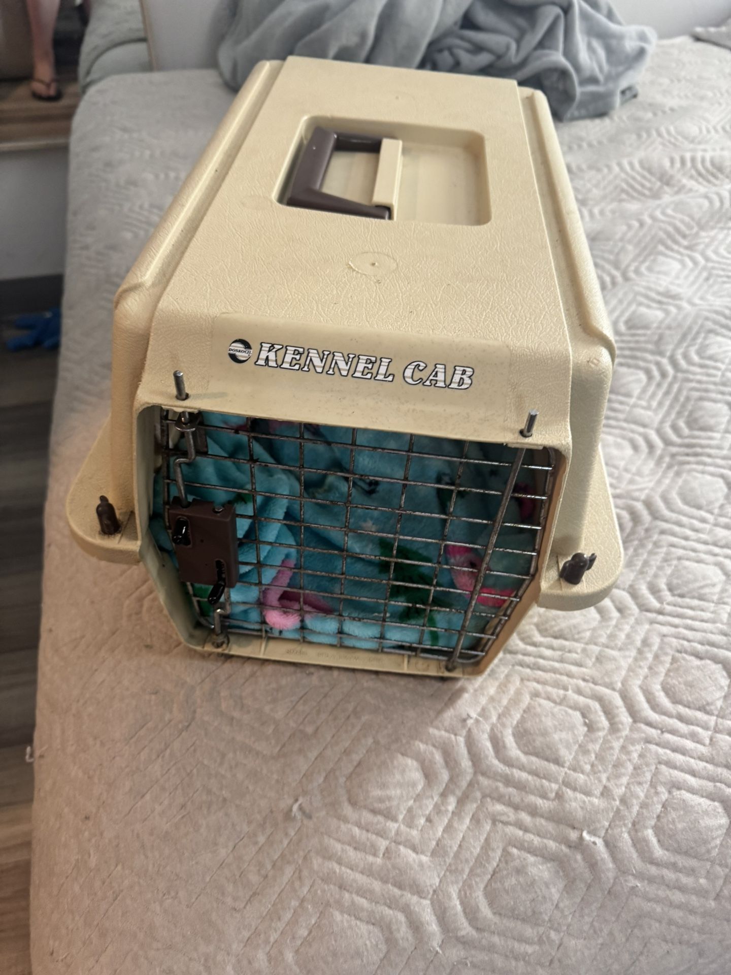 Small Kennel Cab Crate For Cat Or Dog