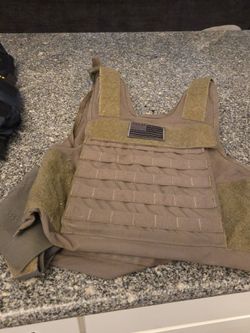 Plate carrier and plates