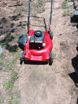 Murray 22in Push Lawnmower