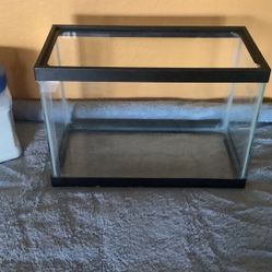     🦞🦎🦀Fish Tank.  Hermit Crab.  Aquarium  🦞🦎🦑 Turtle🐸🐢🐟🐠🪼🐠